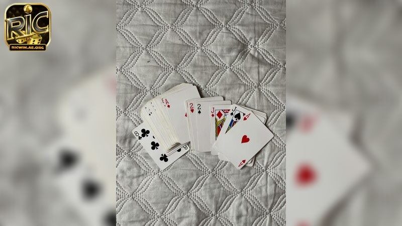 Casino Live có thực sự công bằng?